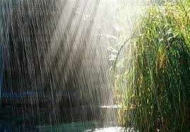 آیا بارانِ در حال باریدن، در احکام مانند آب جاری است؟